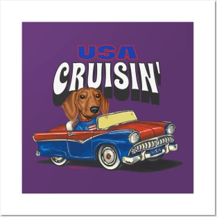 Funny and Cute Doxie Dachshund Dog driving a vintage auto cruising the USA Posters and Art